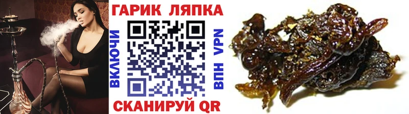 Купить  Дмитриев  ГАШ индика сатива 