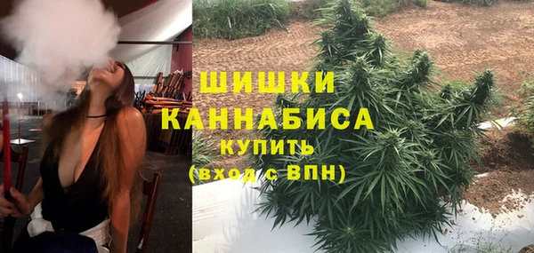 бошки Инсар