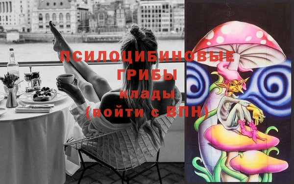 бошки Инсар