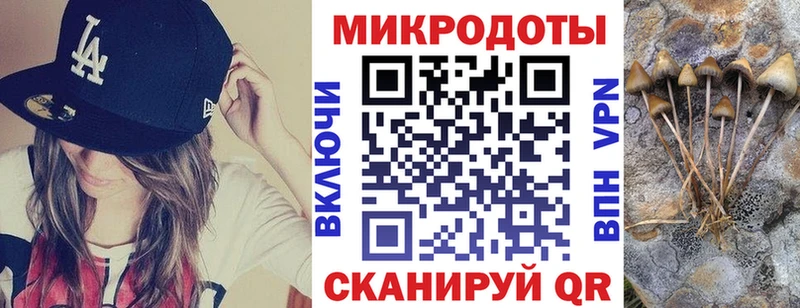 Купить закладки  Дмитриев  Псилоцибиновые грибы прущие грибы 